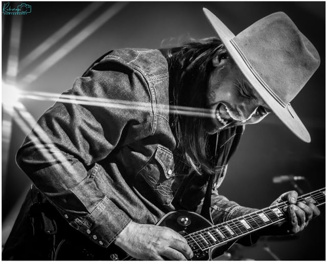 Bush gallery image 6