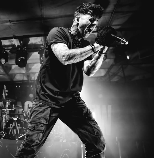 From Ashes To New gallery image 2