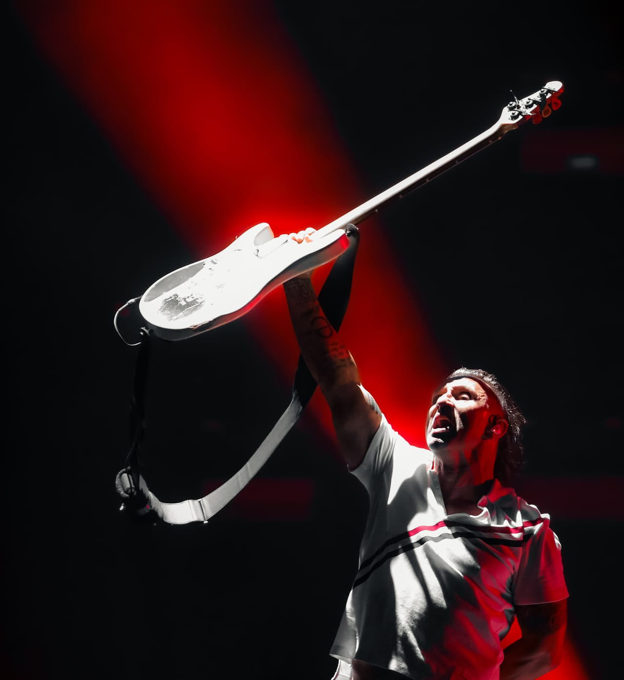 Shinedown project thumbnail