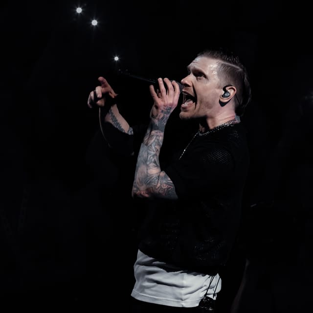 Shinedown gallery image 16