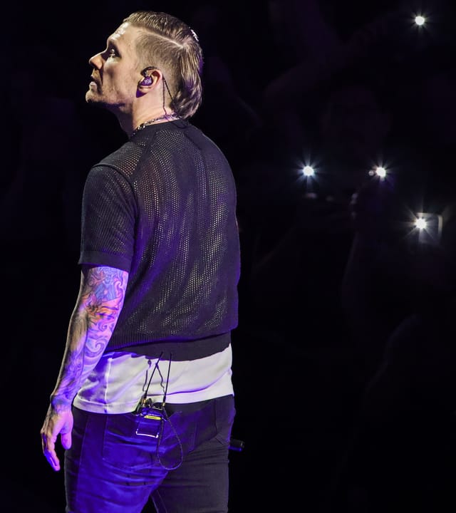 Shinedown gallery image 17