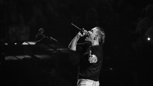 Shinedown gallery image 18